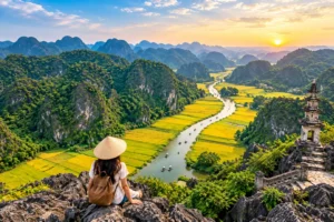 Tam Coc rice fields